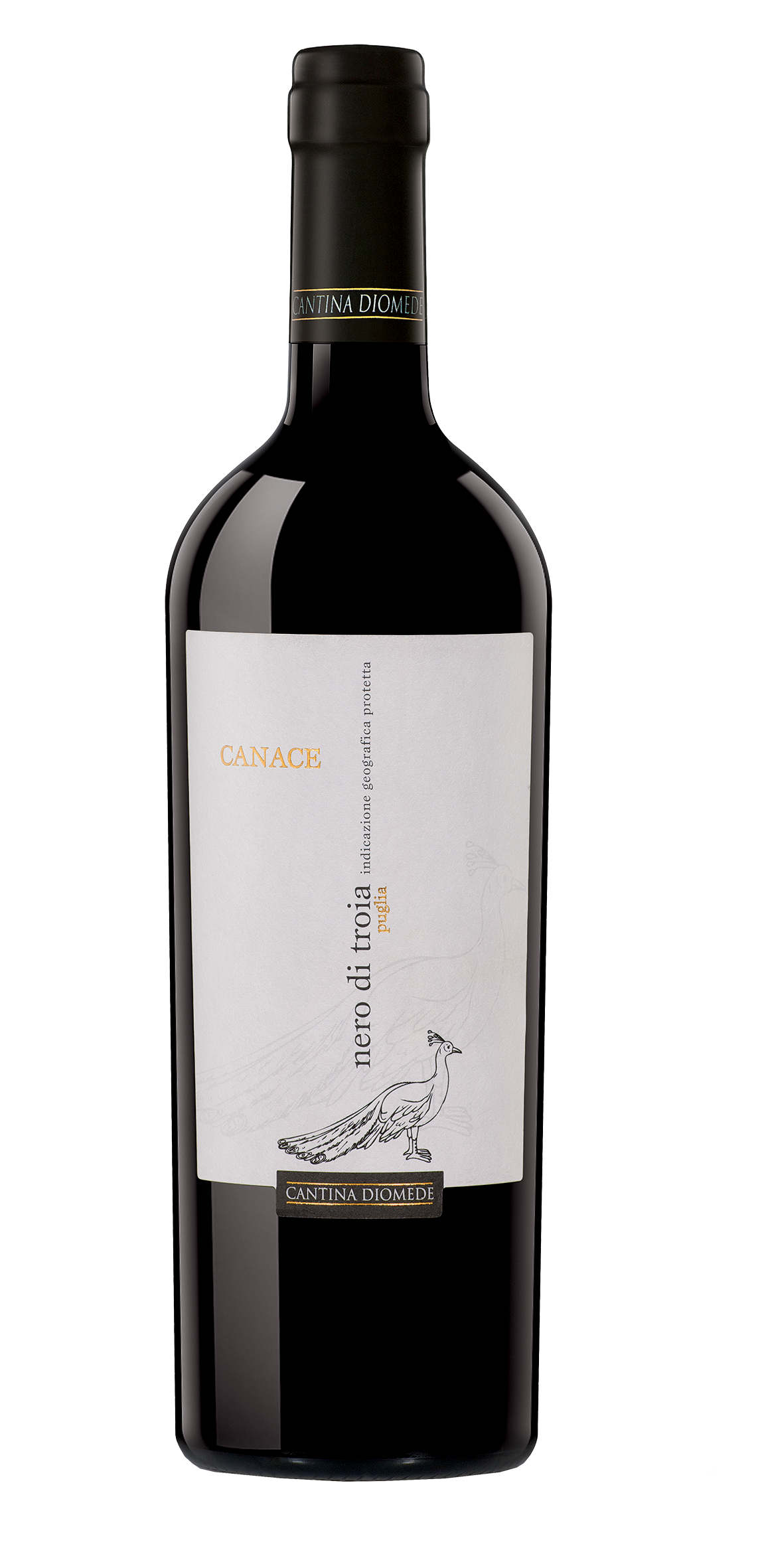 CANTINA DIOMEDE  Canace Nero di Troia Puglia I.G.P.