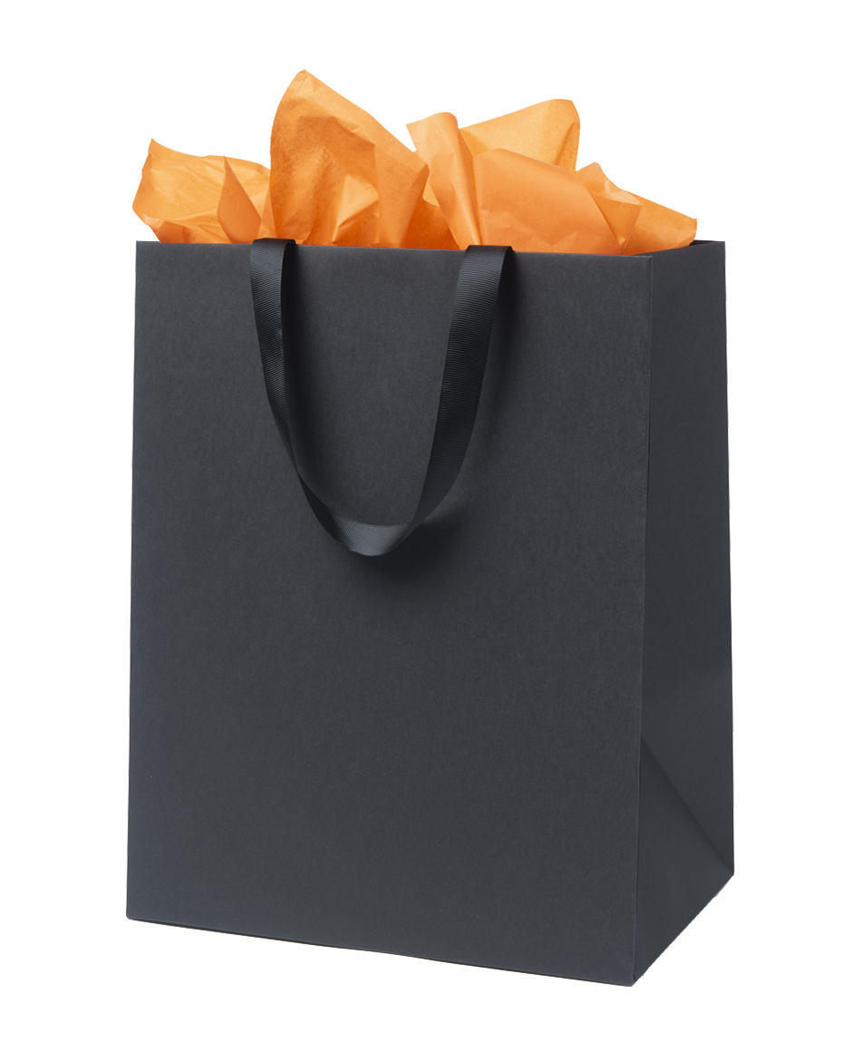 BOTTLERY Maišelis popierinis 2 buteliams